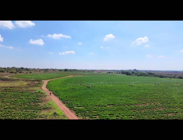 FARM FOR SALE IN VASFONTEIN